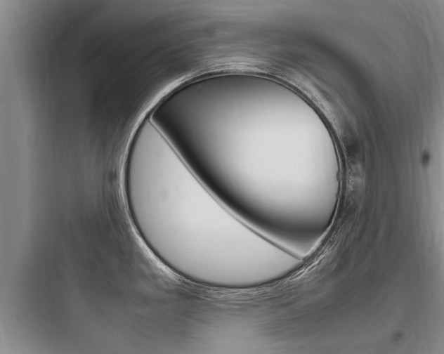 X0000097961293200803241033