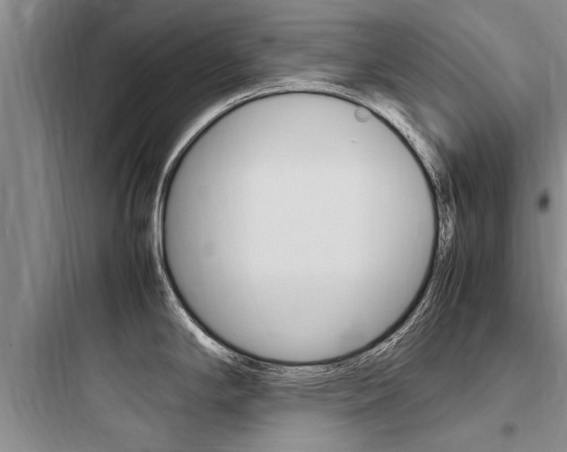 X0000097961294200803241033