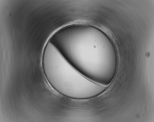 X0000097961296200803241033