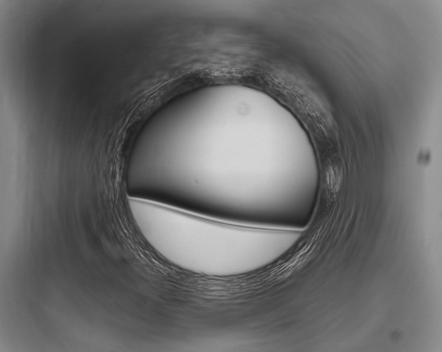 X0000097961300200803241032