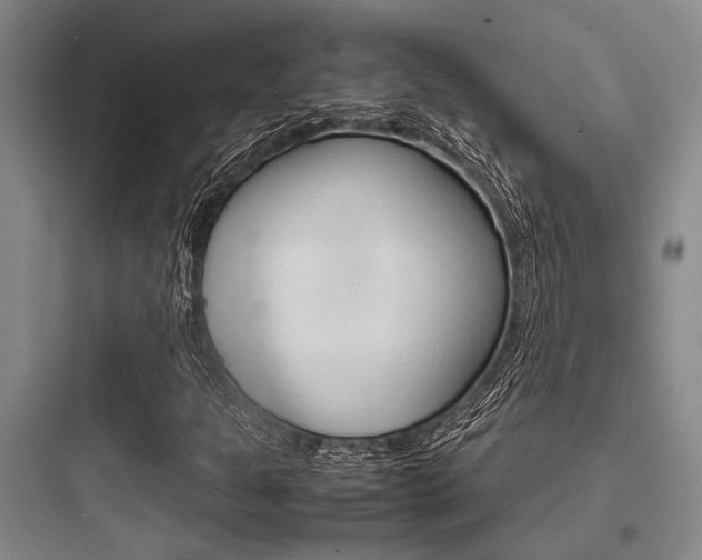 X0000097961301200803241032
