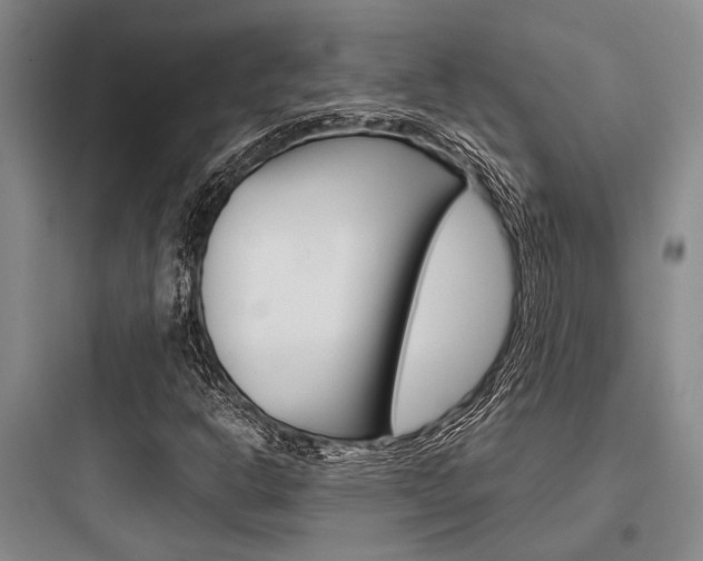 X0000097961302200803241032