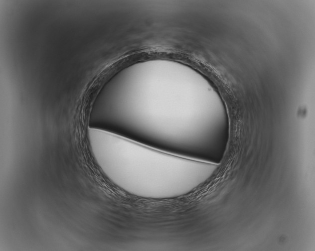 X0000097961303200803241032