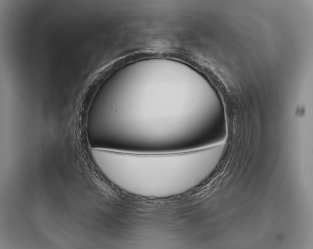 X0000097961304200803241032