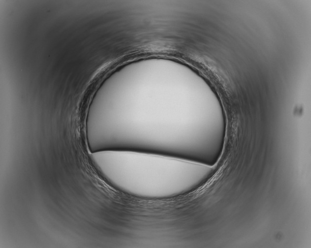 X0000097961306200803241032