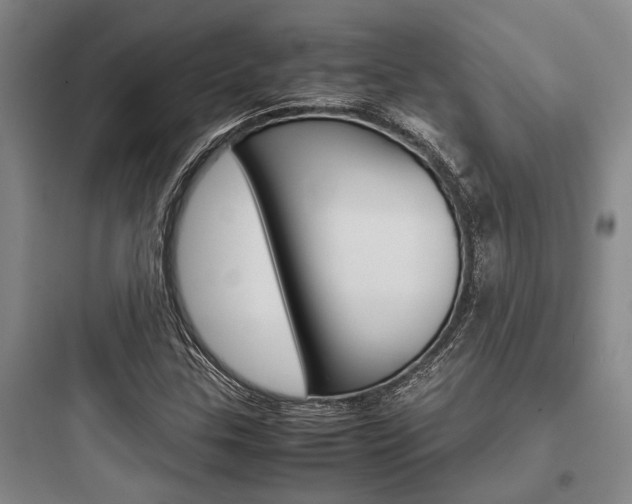 X0000097961307200803241032