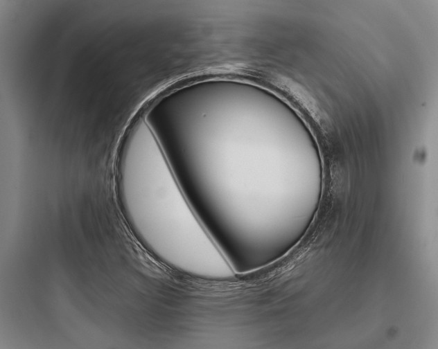 X0000097961308200803241032