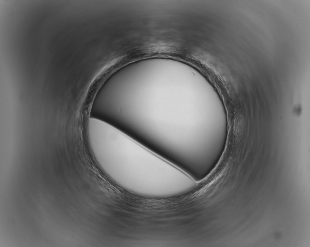 X0000097961309200803241032