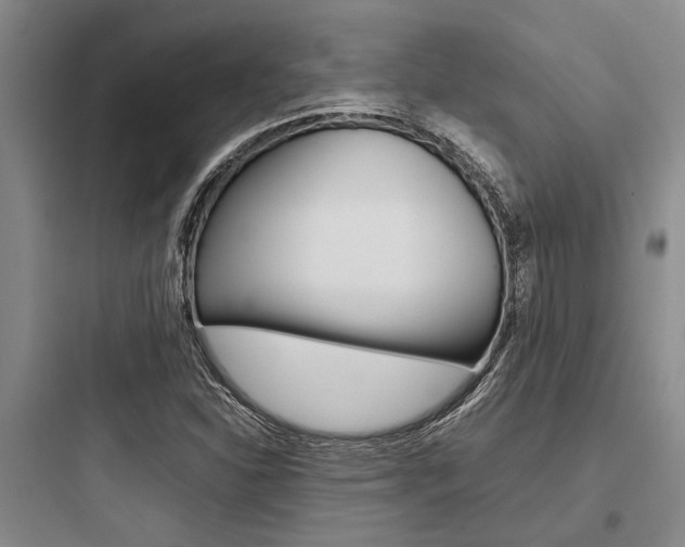 X0000097961310200803241032