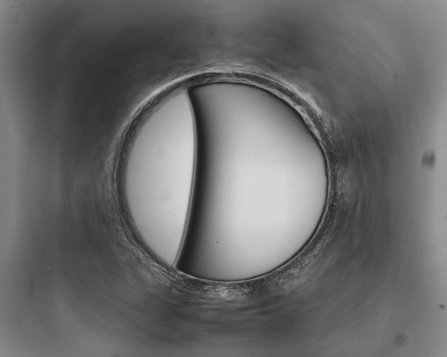 X0000097961311200803241032