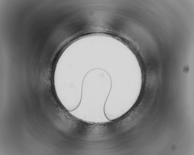 X0000097961314200803241032
