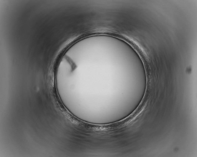 X0000097961317200803241032