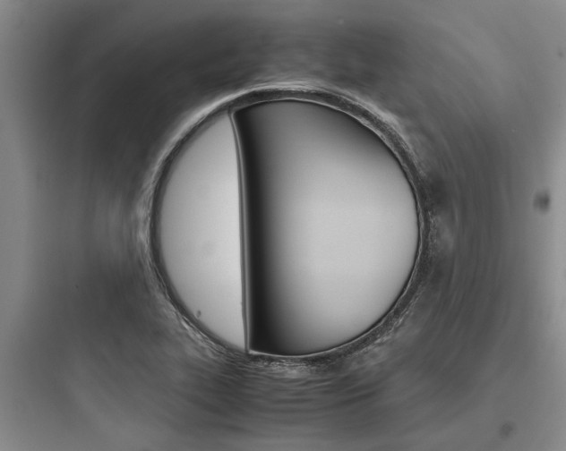 X0000097961319200803241032