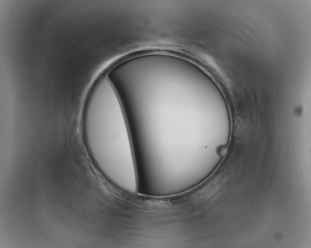 X0000097961320200803241032