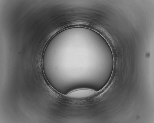 X0000097961321200803241032
