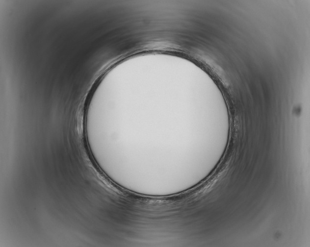 X0000097961322200803241032