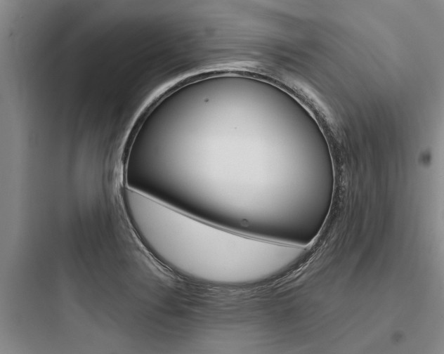 X0000097961324200803241032