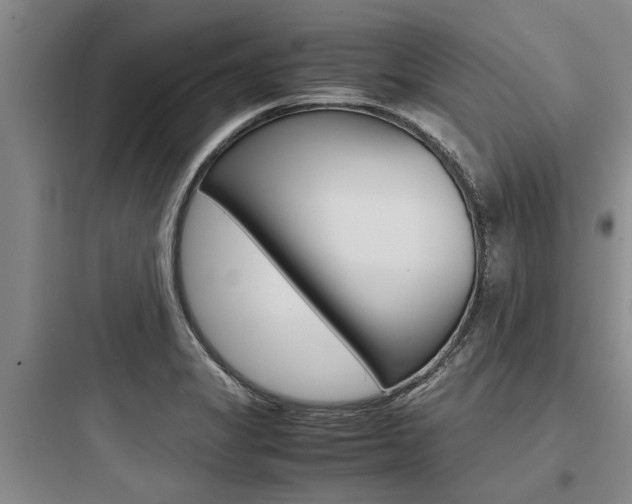 X0000097961325200803241032