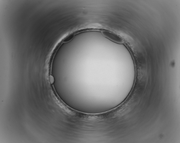 X0000097961326200803241032