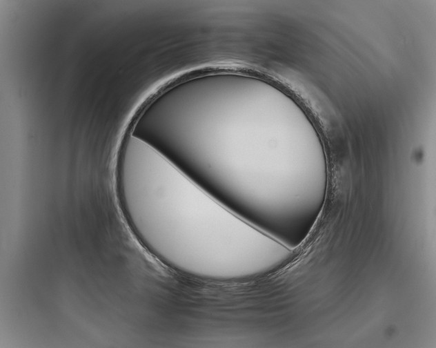 X0000097961327200803241032