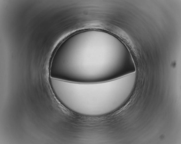 X0000097961328200803241032