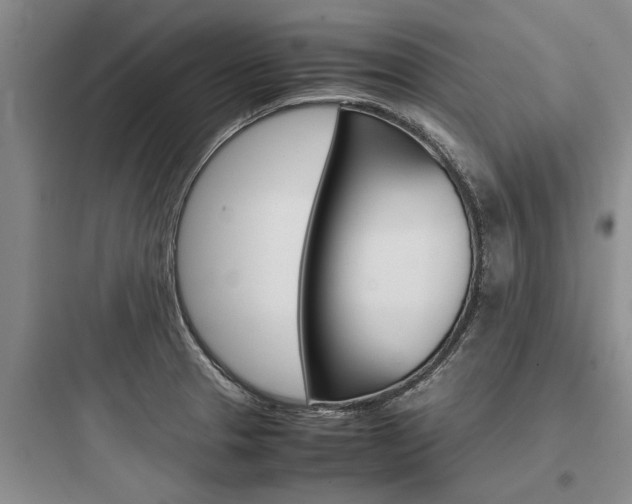 X0000097961329200803241032