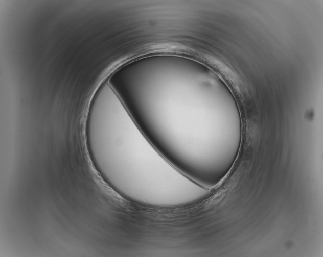 X0000097961330200803241032