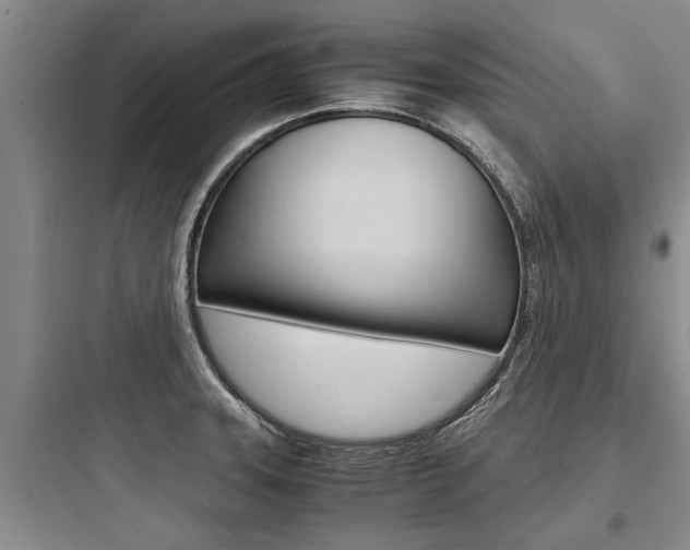 X0000097961331200803241032