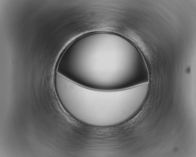 X0000097961332200803241032