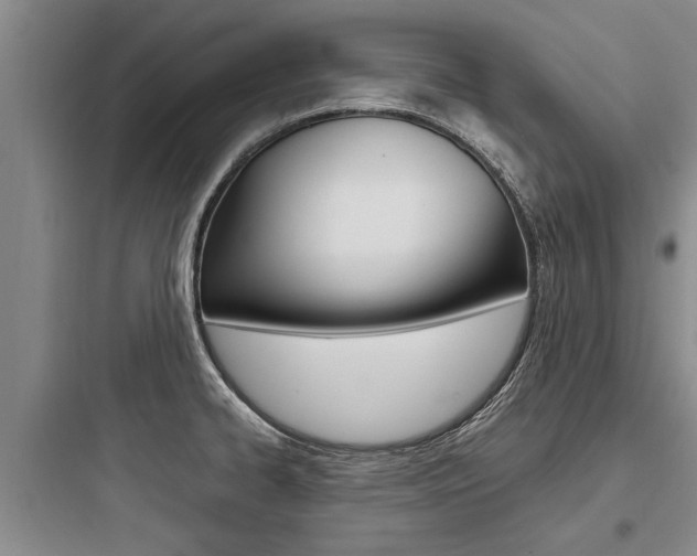 X0000097961334200803241033