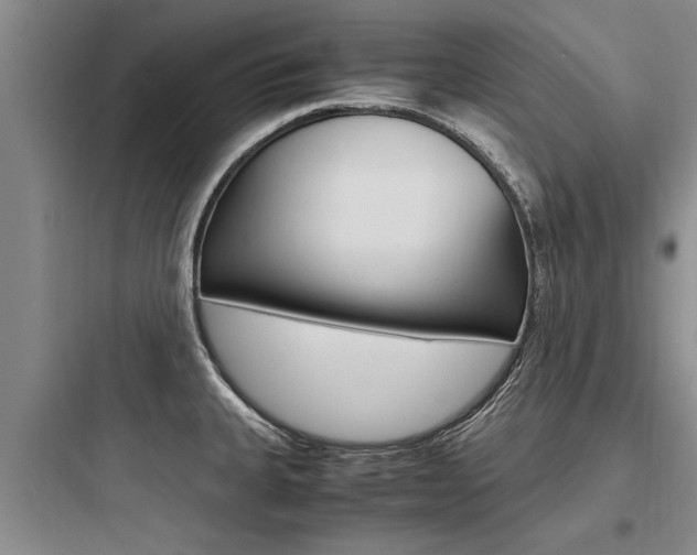 X0000097961335200803241033