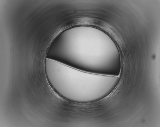 X0000097961337200803241033
