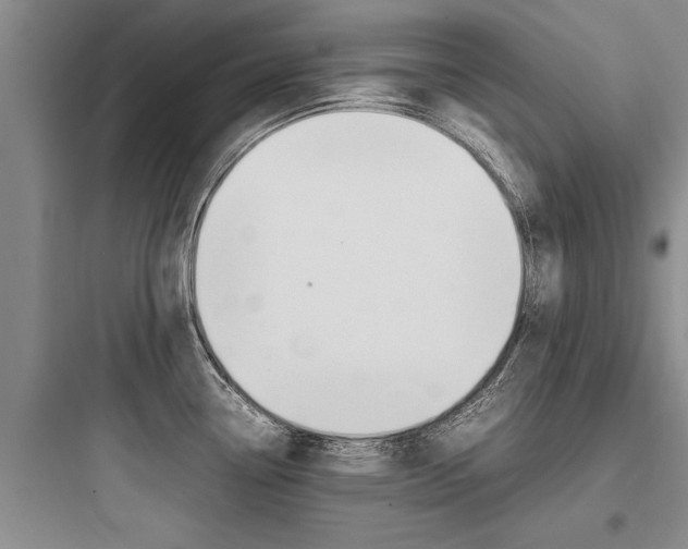 X0000097961338200803241033
