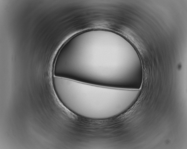 X0000097961339200803241033