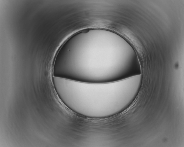 X0000097961340200803241033