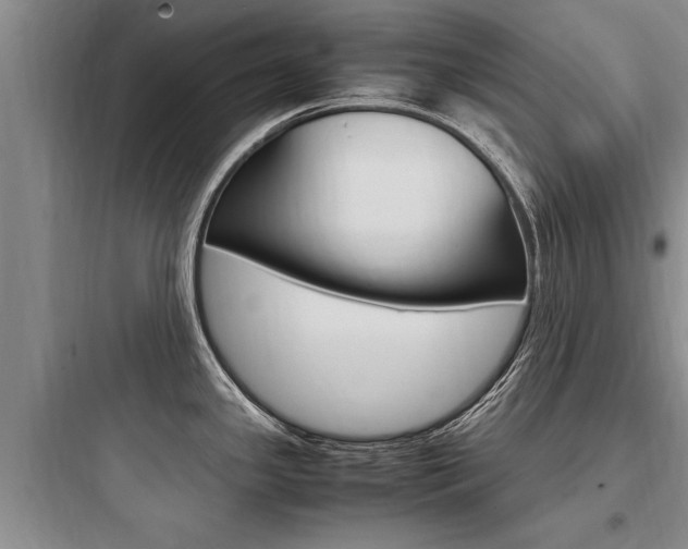 X0000097961341200803241033