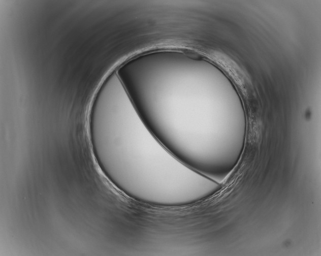 X0000097961342200803241033