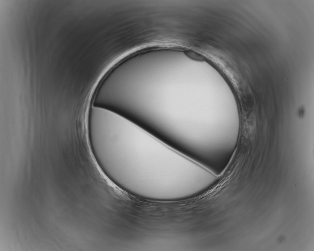 X0000097961343200803241033
