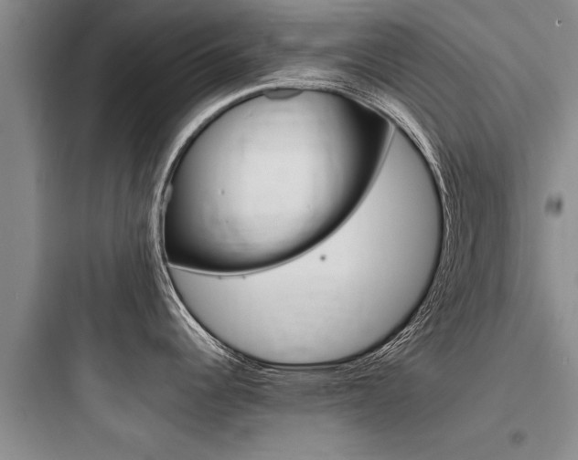 X0000097961344200803241033