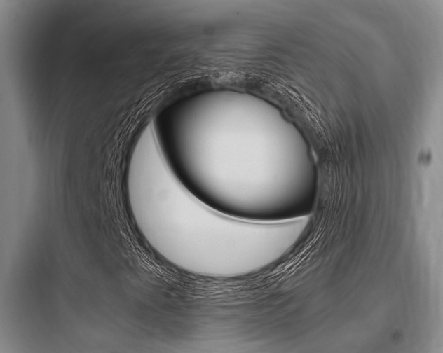 X0000097961345200803241032