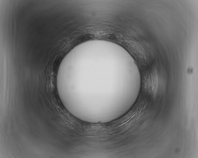 X0000097961346200803241032