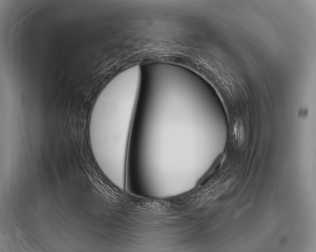 X0000097961348200803241032
