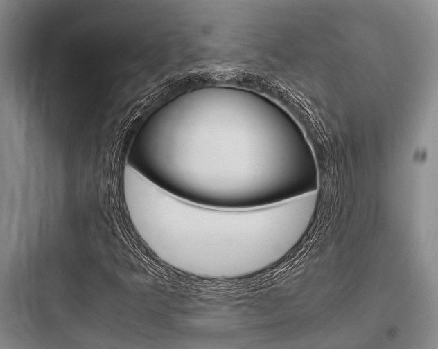 X0000097961349200803241032