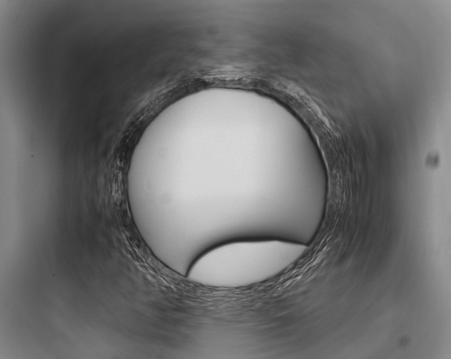 X0000097961350200803241032