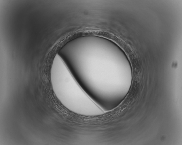 X0000097961351200803241032