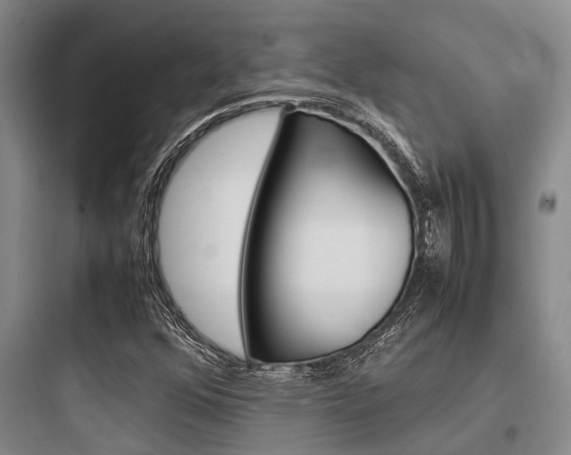 X0000097961352200803241032