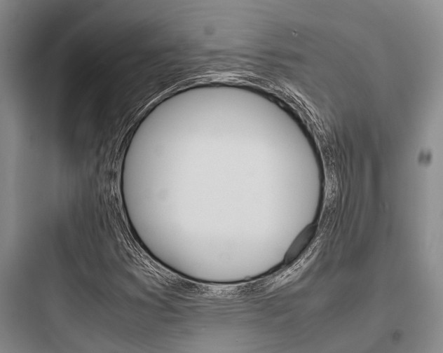 X0000097961353200803241032