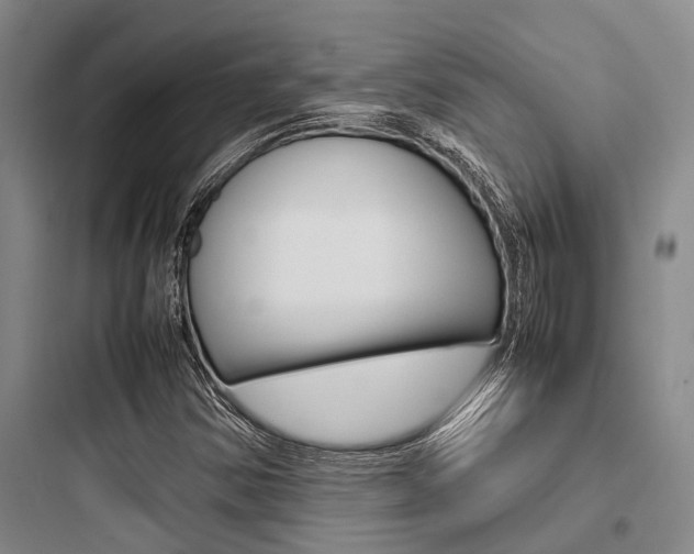 X0000097961354200803241032