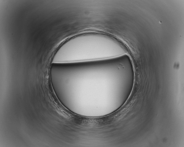 X0000097961355200803241032