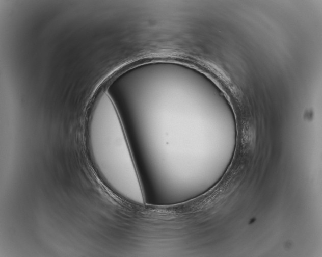 X0000097961356200803241032
